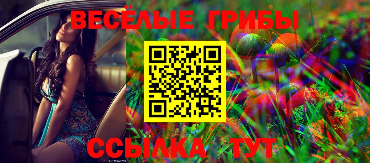 Галлюциногенные грибы мухоморы Тавда
